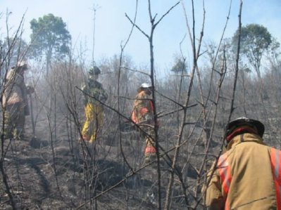 BOMBEROS FUEGO (7)  CONTENEDOR